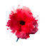 airborne-petawawa-PTSD-combat-veteran-trauma-skydiving-parachuting