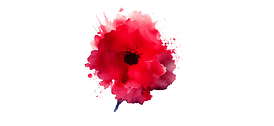 airborne-petawawa-PTSD-combat-veteran-trauma-skydiving-parachuting